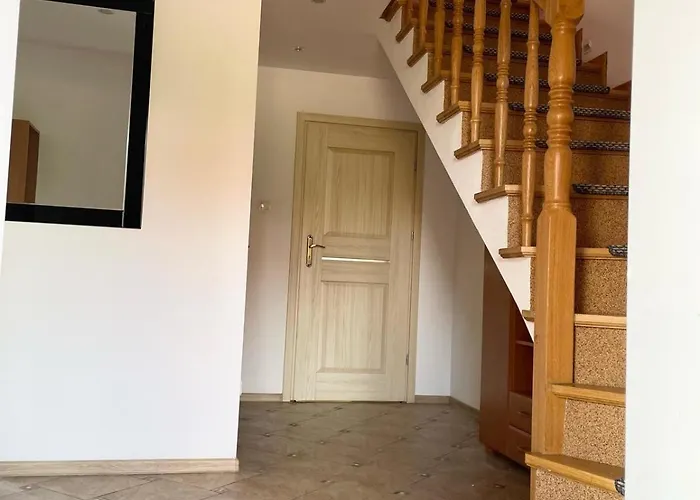 农家乐 Aksamitka *